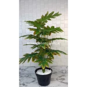 Pohon Daun Tanaman Hias Jari Philo Orange X18 Semilatex Artificial Pot Dasar Hitam Dekorasi Sudut Ruang Aesthetic