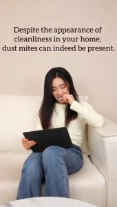 Wiss Lifestyle Dust Mite Repellent Packs Dust Mite Removal Pack/ Dust Mite Killer/ Natural Herbal Anti-Mite Bag 12pcs SG Ready Stock