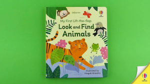 Usborne - First Lift The Flaps Look and Find Book Series