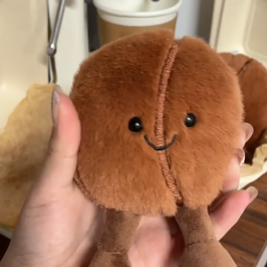 Plush Toy Coffee Bean Doll Keychain Rag Doll Pendant Toy Gift
