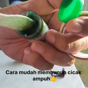 D.O Cak obat oles pembasmi penghilang pengusir cucak cicak tokek herbal paling ampuh original