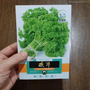 Hạt Giống Ngò Tây  hạt giống Rau Mùi Tây nhập khẩu nội địa Trung - shop Yến Liên Beauty