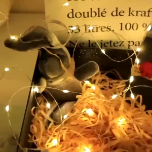 String Light 3M 30 LED Copper Cable Fairy Christmas Lights Decor ABL30