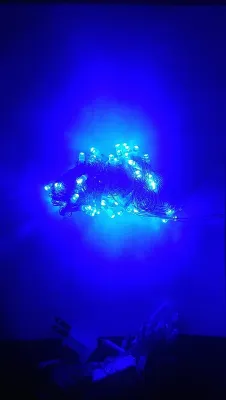 Đèn Led Dây Chớp 4m Được Chọn Màu Trang Trí Tết