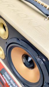 [ Loa karaoke xách tay ] V1 PRO 16 Đường Tiếng Cao Cấp - Quà Tặng Hấp Dẫn Hộp Đựng Micro & Bộ Sạc Pin 1200mAh DP B02