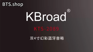 Bts.Shop KTS-2089 Dual 4-inch Outdoor Bluetooth Karaoke Breathtaking lights Speaker for Home Use with mic