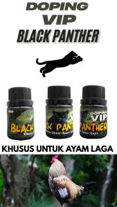 BLACK PILL BLACK PANTHER (175 PIL) - Agresif & Power