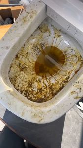 【SG Inventory】(500ml) Strong dirt and cleaning toilet toilet cleaning toilet deodorant cleaner toilet removal urine cleaning toilet solution