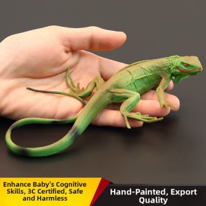 MENGSILE | Solid Realistic Childrens Educational Green Iguana Toy Model