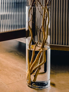 Large Size 40cm round Mouth round Cylinder Glass Flower Vase for Dragon Willow Special Use European Style Home Decorative Flower Pot