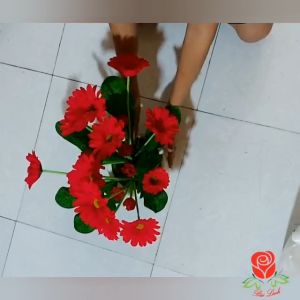 HOA ĐỒNG TIỀN GIẢ .dùng trang trí nhà cửa .trang trí quán.nhà hàng