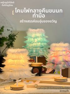 Graduation Gift Romantic Nordic Style Colored Feather LED Night Light