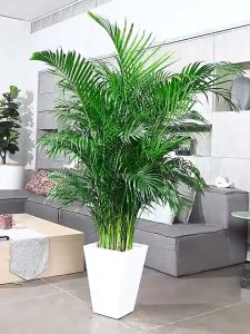DAUN PALEM PLASTIK DAN POT 125CM DAUN PALEM JUMBODAUN ARTIFICIAL DAN PALSU DAUN PLASTIK DEKORASI TANAMAN HIAS MURAH