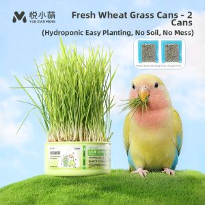 YUEXIAOMENG | Parrot Fresh Wheatgrass Feed