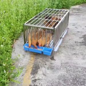 Chicken Coop Quail Cage Chicken Cage Free Thickened Full Welding Double Layer Breeding