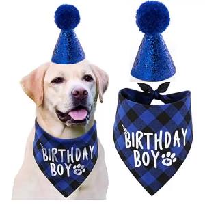 1 Set (2Pcs) Dog Birthday Party Supplies Boy Dog Birthday Bandana Scarf and Dog Birthday Hat