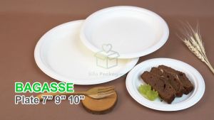 Bagasse Plate Piring Sekali Pakai Praktis Piring Kue Pesta Acara Ulang Tahun Makanan Tahan Panas Ramah Lingkungan isi 25 pcs