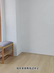 MOLORE | Economical Dust-Proof Space-Saving Shoe Rack