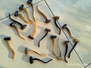 onceee popay tandok reel