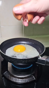 Wyking 16cm Non-stick Fry Pan