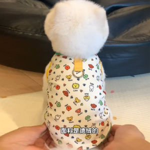 Autumn Clothes for Small Dogs And Cats 2024 Dog Vest Cozy Sweater Style Pet Apparel Pulling Harness Casual Pet Clothing