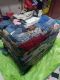 indarsofyan olshop