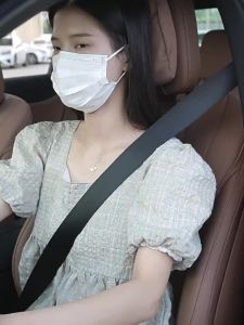 Jaecoo J6 6 Chery iCAR 03  suede seat belt shoulder guards Jaecoo J6 J7 J8 Tiggo 7 8 9 Fulwin A8 T9 T6 T10 Celer Omoda Arrizo