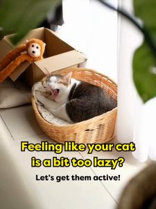 [ 3Free 1] TEMPTATIONS Mix Ups Cat Treats  Catnip Chicken & Cheddar / Tuna Salmon & Shrimp 75g