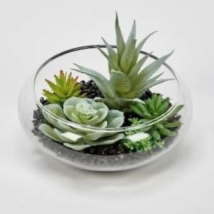 Bể Thuỷ Tinh - Chậu Nuôi Cá Trông Cây Bonsai Để Bàn BS03 Glass Contaier Φ 15Cm