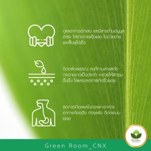 Set 3 ขวด (คละสูตรได้) Cooling Green น้ำย่านางสกัด ปรับสมดุล ดีท็อกซ์ ขจัดสารพิษตกค้าง