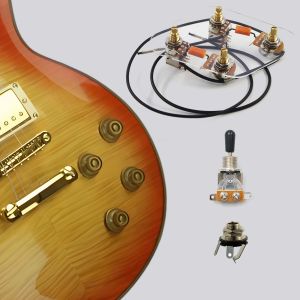 Premium Pre-Wired (With Push Pull Guitar Pots) 2T2V Cable Kit Includes Independent Switch Suitable for LP-Style Electric Guita
