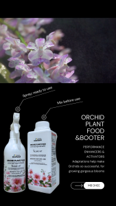 เร่งดอกกล้วยไม้ สเปรย์กล้วยไม้ orchid plant food & booster บำรุงต้น เร่งดอก กลีบดอกแข็งแรง บำรุงราก สะสมอาหาร ต้านทานโรค