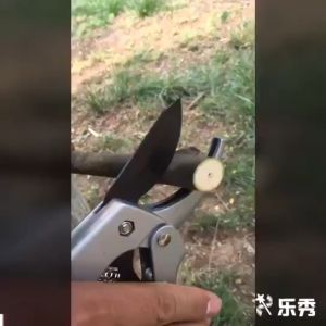 กรรไกรตัดกิ่ง ปรับความยาวได้ ยืดหดได้ กรรไกรตัดกิ่งไม้ใหญ่ extra long garden pruning shears high quality