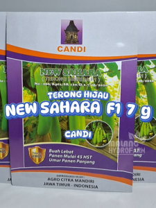 Benih Terong Hijau New Sahara F1 7 gram cap Candi unggul bibit hibrida biji green lonjong hydroponik hidroponik sayur sayuran toleran virus