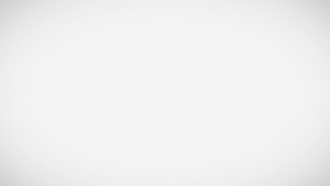 HDD 1/2TB External Harddisk ฮาร์ดดิสพกพา รุ่น My Passport ความจุ 1/2TB USB 3.2 Gen 1