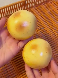 Stress Relief Potato Squishy Toys