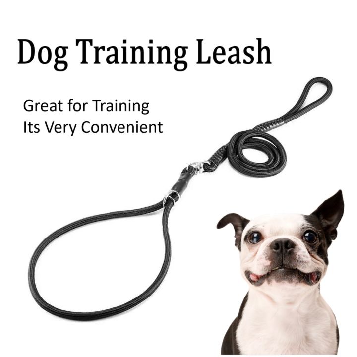 Dog Leash Good To Go Dog Collar The Official Bike Tow Leash® Dog