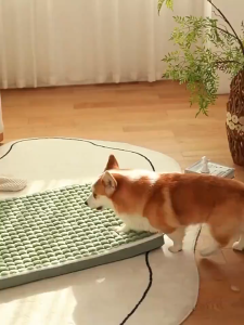 Dog mat Dog bed Dog sofa warm sleeping in winter Removable and washable kennel floor mat Pet bed all-season sleeping mat Cat bed
