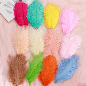 Colorful Pheasant Feathers Wall Decoration DIY Material for Wedding Ornaments and Dream Catchers 15-20cm
