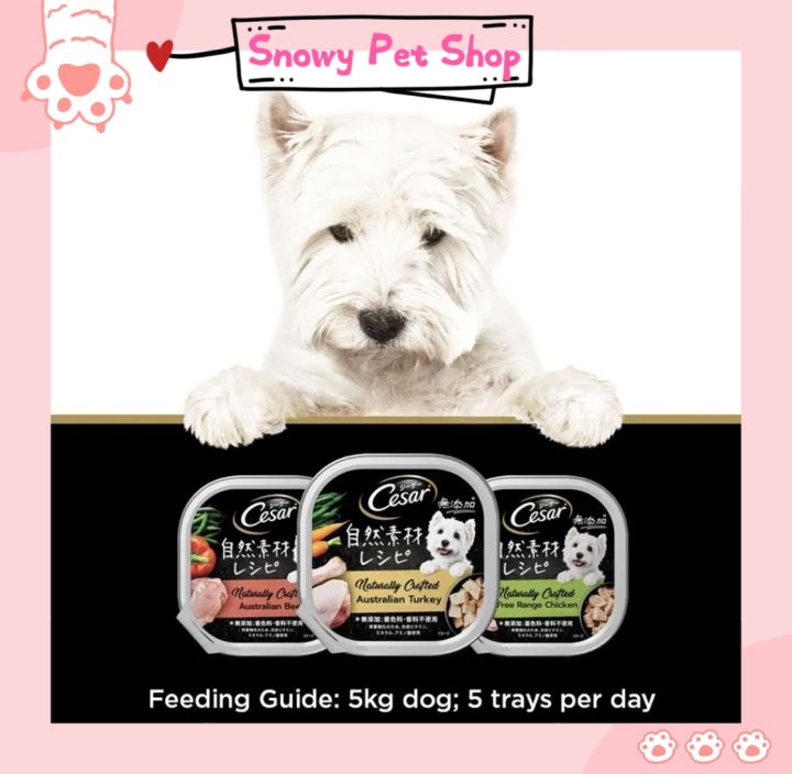 Cesar%20Dog%20Tray%20100g%20Dog%20Wet%20Food%20%20Dog%20Food%20Wet%20Meat%2085g%20/%20100g%20-%20Image%202