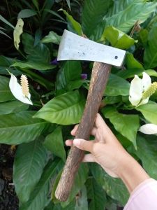 kapak super tajam untuk belah bambu / kayu/ kapak multifungsi