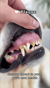 FUREVER365 | Cat Dog Dental Mouth Spray | Teeth Cleaning Mousse for Oral Care (60ml)