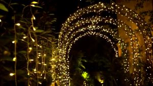 HOMEMORY Christmas Lights 10M String: The Ultimate Guide