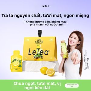 LEPINLECHA | Túi Trà Đá Từ Trái Cây & Hoa - Quà Tặng