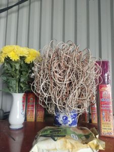 Nhang Đen Thơm Cuộn Tàn Phong Thủy - Sản Phẩm Chất Lượng Tàn Hương Cuộn Tự Nhiên Giá Trị Phong Thủy Thích Hợp Cho Thờ Cúng Lễ Bái Thiền Định Tụng Kinh Khai Trương Xông Nhà
