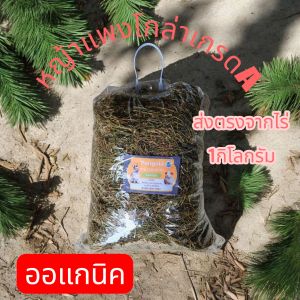 หญ้าแพงโกล่า ขนาด1kg หญ้าแพงโกล่าแห้ง