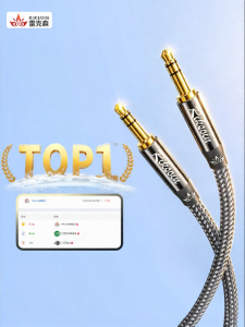 RIKSOIN | Dây Chuyển Đổi Âm Thanh Ô Tô 3.5mm