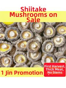 Thick & Stemless Farm Mushrooms