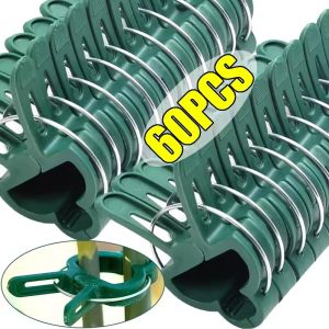 60/20pcs Climbing Plant Gardening Clips Rattan Vine Bracket Fixed Buckle for Tomatoes Cucumbers Beans Support Gardening Tools