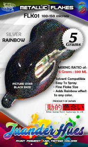 5 Grams Silver Metallic Rainbow Laser Flakes Add-On Pigment Metal Effect LSR01